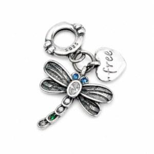 Charm Libelula